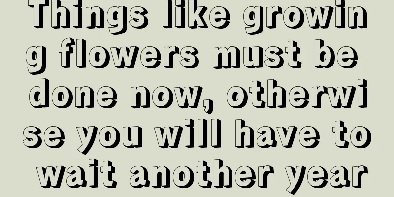 Things like growing flowers must be done now, otherwise you will have to wait another year