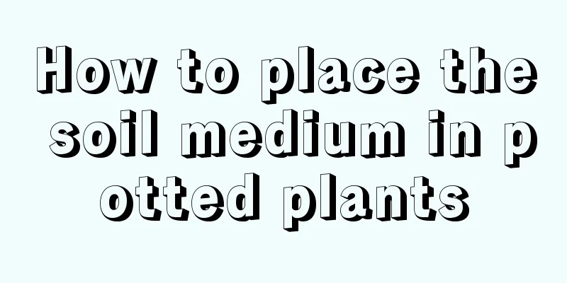 How to place the soil medium in potted plants