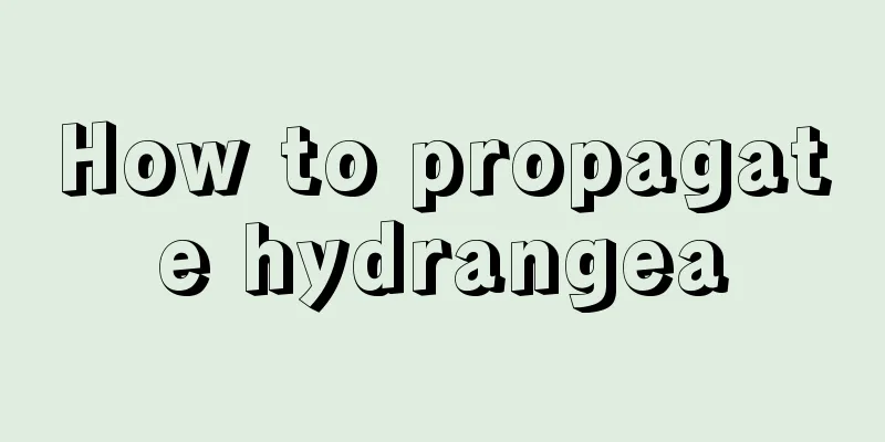 How to propagate hydrangea