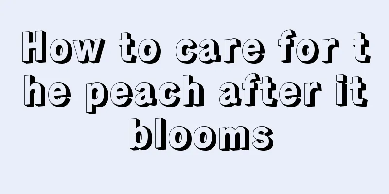 How to care for the peach after it blooms