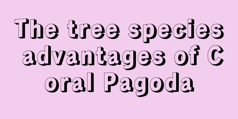 The tree species advantages of Coral Pagoda