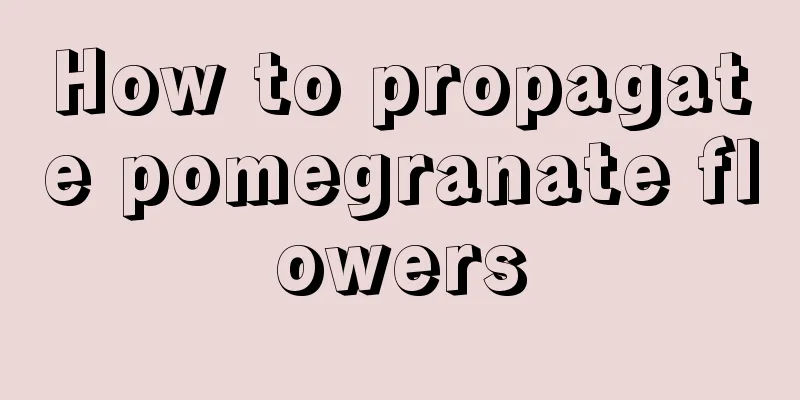 How to propagate pomegranate flowers