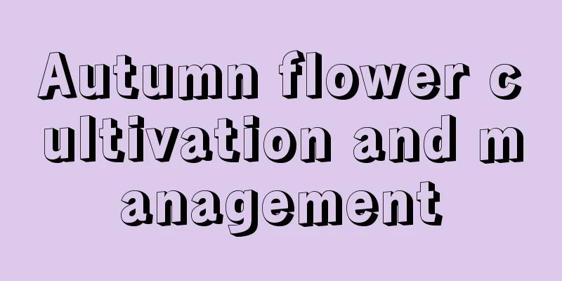 Autumn flower cultivation and management