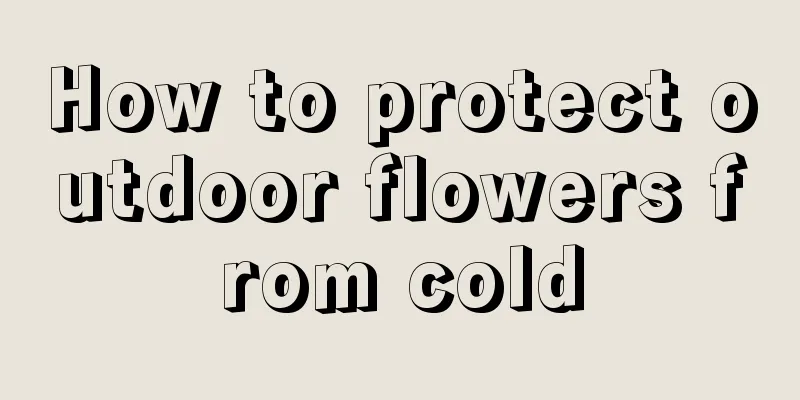 How to protect outdoor flowers from cold