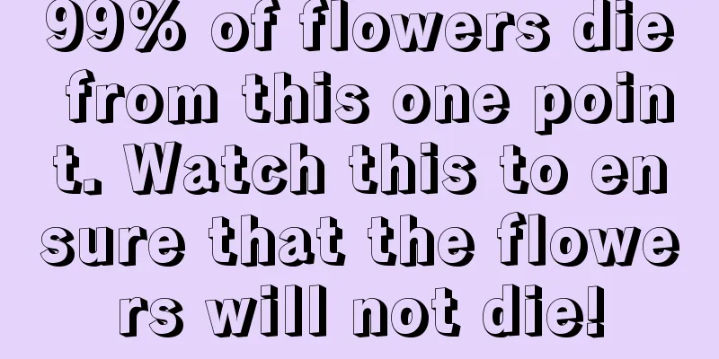 99% of flowers die from this one point. Watch this to ensure that the flowers will not die!