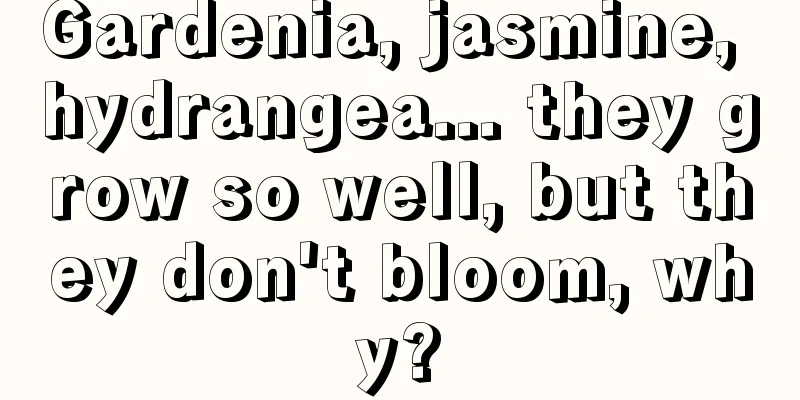 Gardenia, jasmine, hydrangea... they grow so well, but they don't bloom, why?