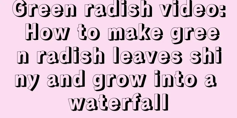 Green radish video: How to make green radish leaves shiny and grow into a waterfall