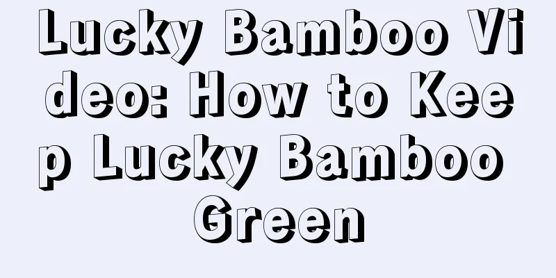 Lucky Bamboo Video: How to Keep Lucky Bamboo Green