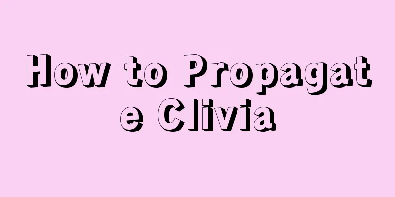 How to Propagate Clivia