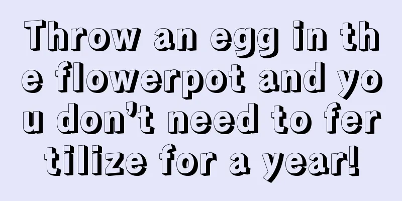 Throw an egg in the flowerpot and you don’t need to fertilize for a year!