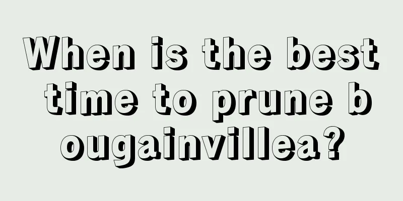 When is the best time to prune bougainvillea?