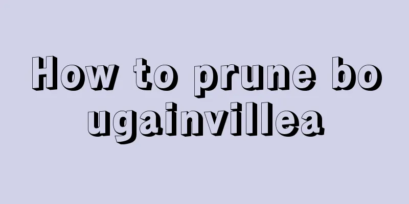 How to prune bougainvillea