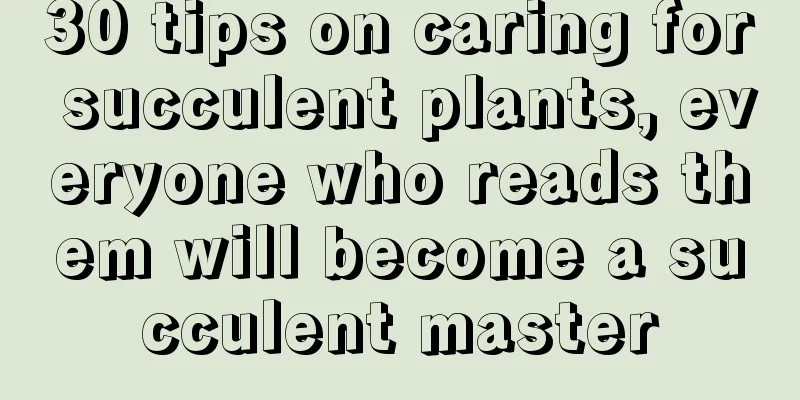 30 tips on caring for succulent plants, everyone who reads them will become a succulent master