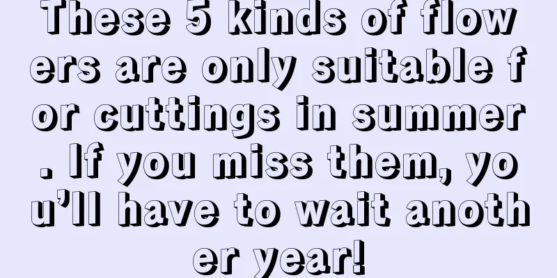These 5 kinds of flowers are only suitable for cuttings in summer. If you miss them, you’ll have to wait another year!