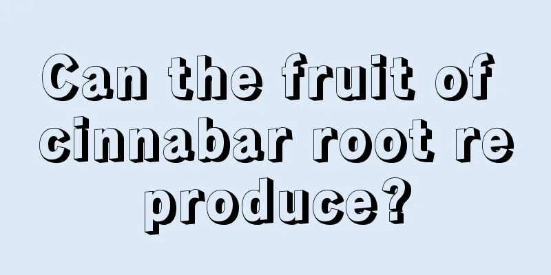 Can the fruit of cinnabar root reproduce?