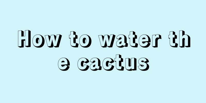 How to water the cactus