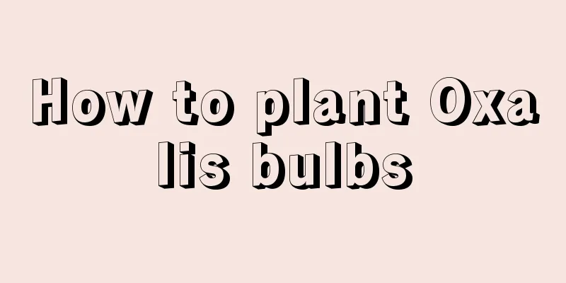 How to plant Oxalis bulbs