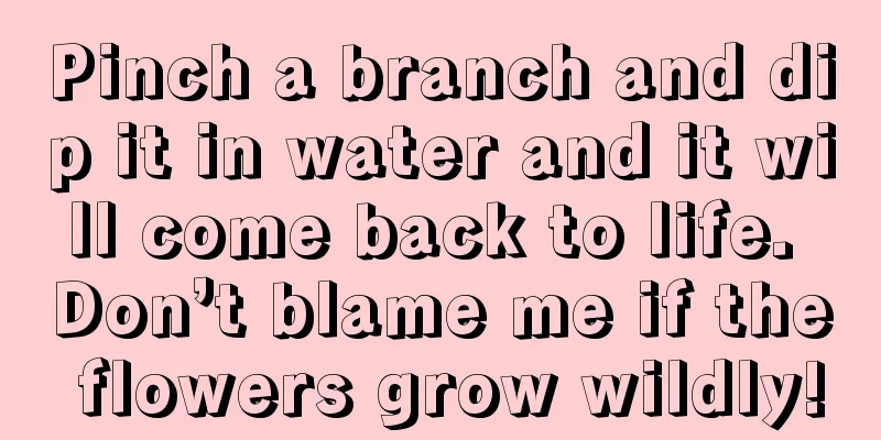 Pinch a branch and dip it in water and it will come back to life. Don’t blame me if the flowers grow wildly!