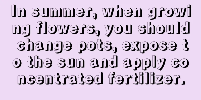 In summer, when growing flowers, you should change pots, expose to the sun and apply concentrated fertilizer.