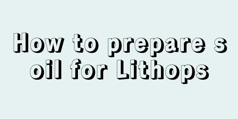 How to prepare soil for Lithops