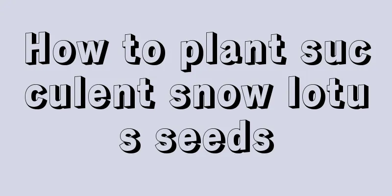 How to plant succulent snow lotus seeds