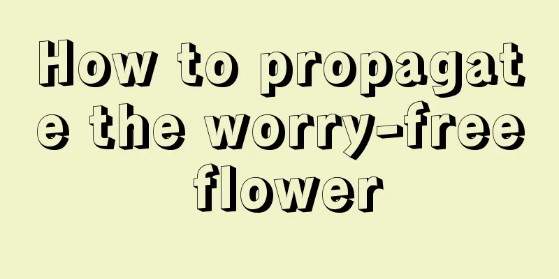 How to propagate the worry-free flower