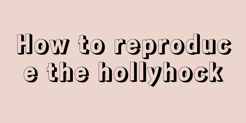 How to reproduce the hollyhock