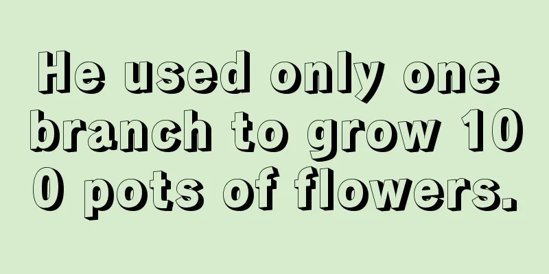 He used only one branch to grow 100 pots of flowers.