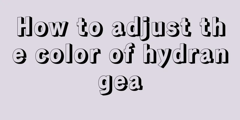 How to adjust the color of hydrangea