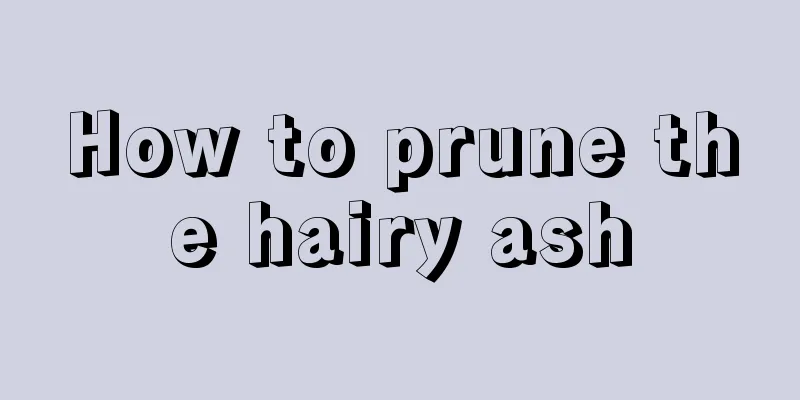 How to prune the hairy ash