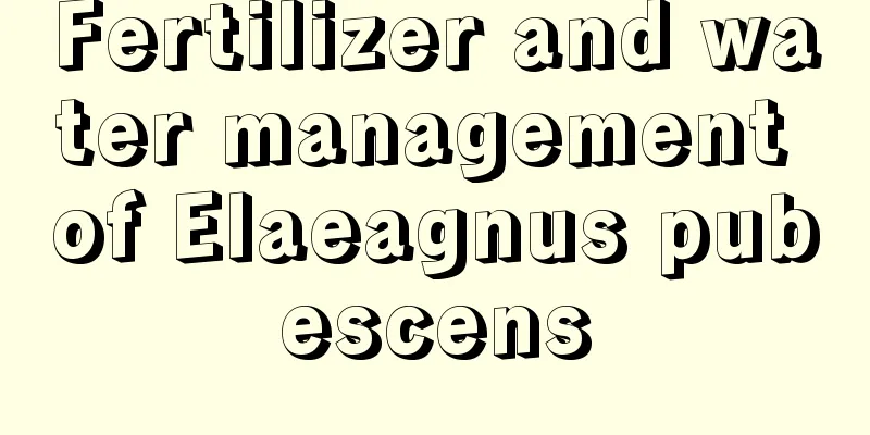 Fertilizer and water management of Elaeagnus pubescens