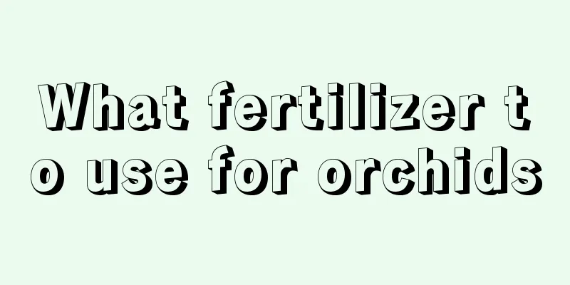 What fertilizer to use for orchids