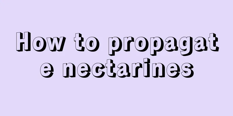 How to propagate nectarines