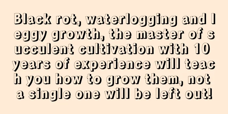 Black rot, waterlogging and leggy growth, the master of succulent cultivation with 10 years of experience will teach you how to grow them, not a single one will be left out!