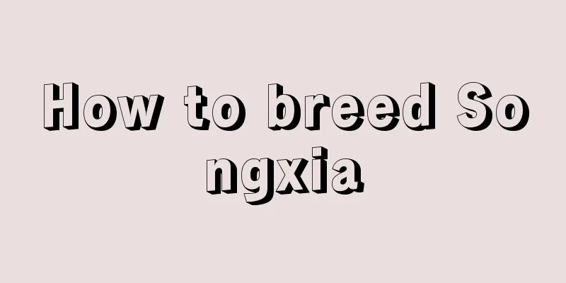 How to breed Songxia