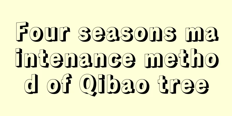 Four seasons maintenance method of Qibao tree