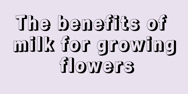 The benefits of milk for growing flowers