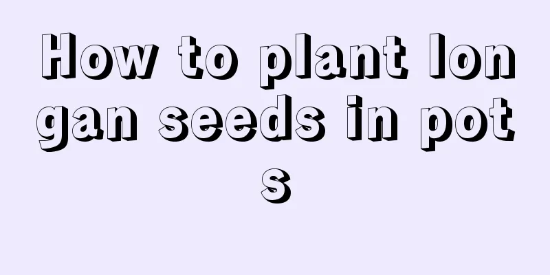 How to plant longan seeds in pots