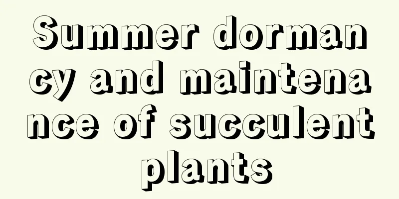 Summer dormancy and maintenance of succulent plants