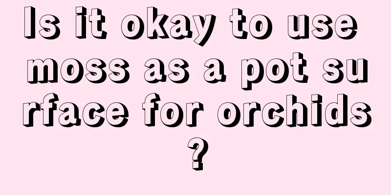 Is it okay to use moss as a pot surface for orchids?