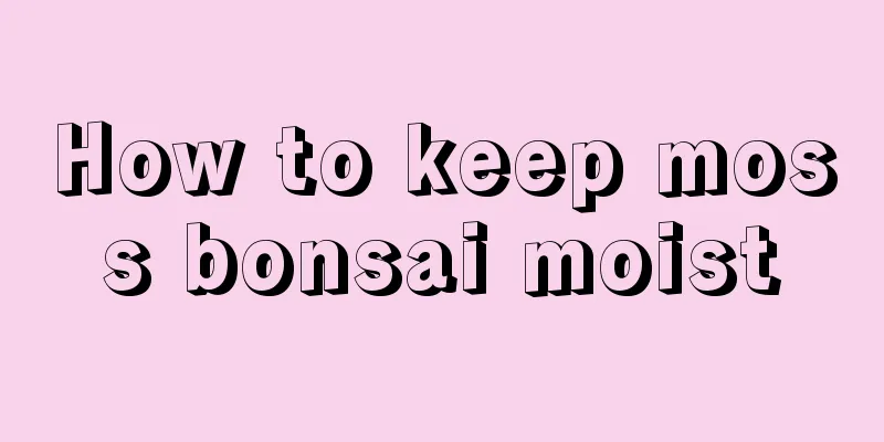 How to keep moss bonsai moist