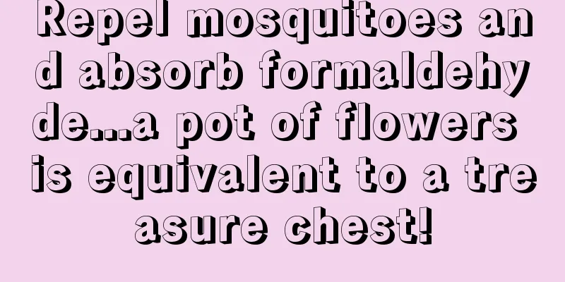 Repel mosquitoes and absorb formaldehyde...a pot of flowers is equivalent to a treasure chest!