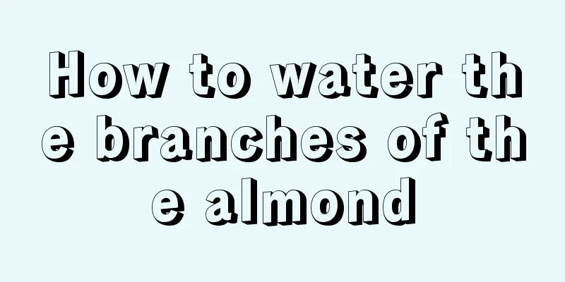 How to water the branches of the almond