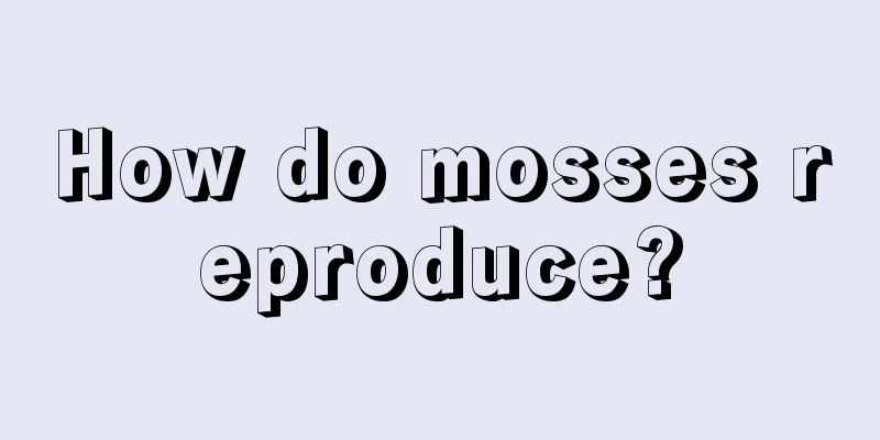 How do mosses reproduce?