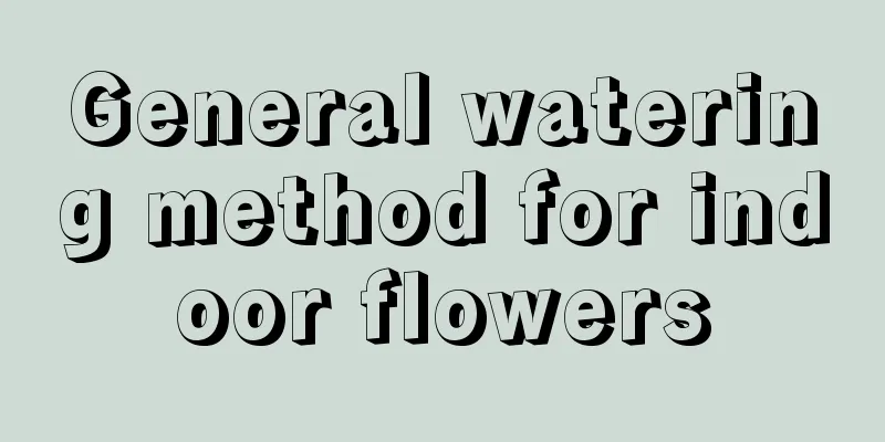 General watering method for indoor flowers