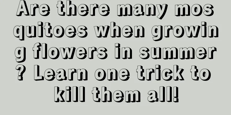 Are there many mosquitoes when growing flowers in summer? Learn one trick to kill them all!