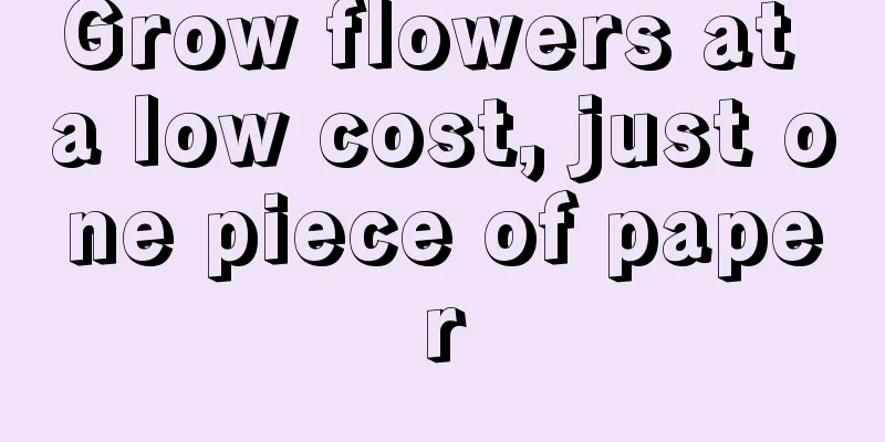 Grow flowers at a low cost, just one piece of paper