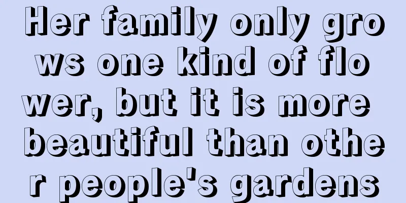 Her family only grows one kind of flower, but it is more beautiful than other people's gardens