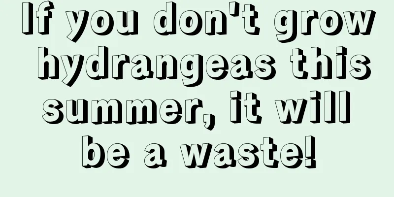 If you don't grow hydrangeas this summer, it will be a waste!