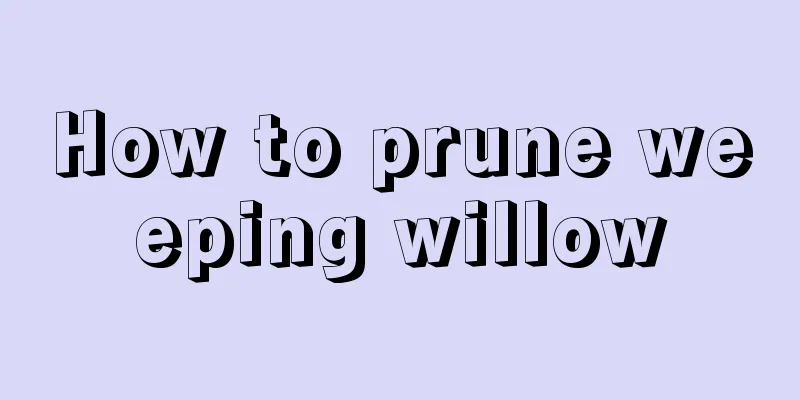 How to prune weeping willow